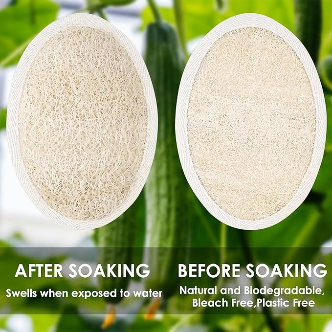 Natural Loofah Sponge 3 Pack for Shower, Organic Luffa Exfoliating Body Scrubber, Eco Friendly Biodegradable Bath Sponge, Plant Based Body Exfoliator for Men Women, Shower Loofah with Hanging Rope