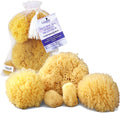 Natural Sea Sponge 5pk Spa Gift Set Bath Shower & Facial Care, Premium Bag