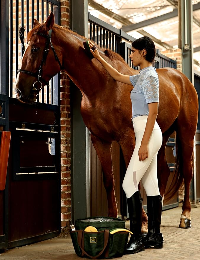 9-Piece Horse Grooming Brush Kit, Silicone Curry Comb & Grooming Brushes for Daily Care, Bathing & Shedding Pasture Glow