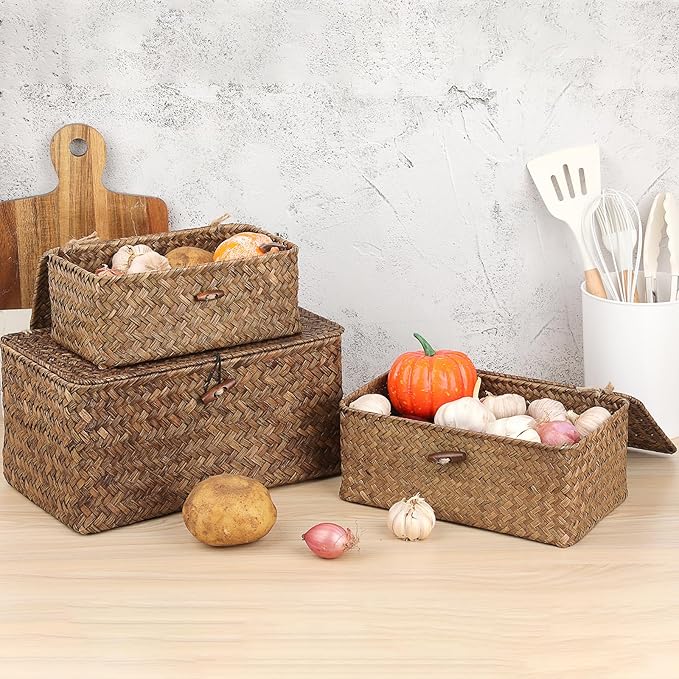 Sumnacon Small Wicker Basket with Lid,Tampon Holder for Bathroom,Coffee,XS