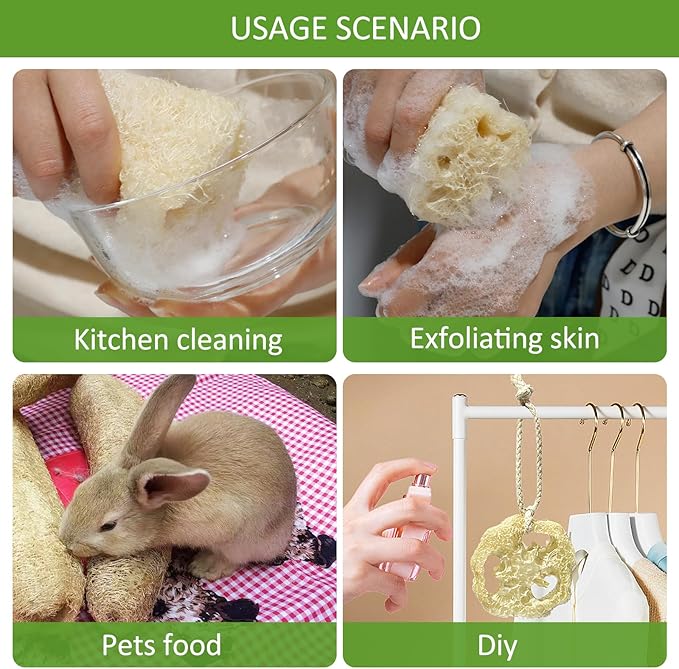 Natural Loofah Sponge, Organic Luffa Exfoliating Body Scrubber, 6 Pack