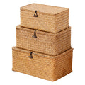 Nonam Storage Basket with Lid, Natural Seagrass Bin with Lid Set of 3, Shelf Baskets Multipurpose Container for Boho Decoration, Rectangular Household Storage Boxes for Home Organization-Natural