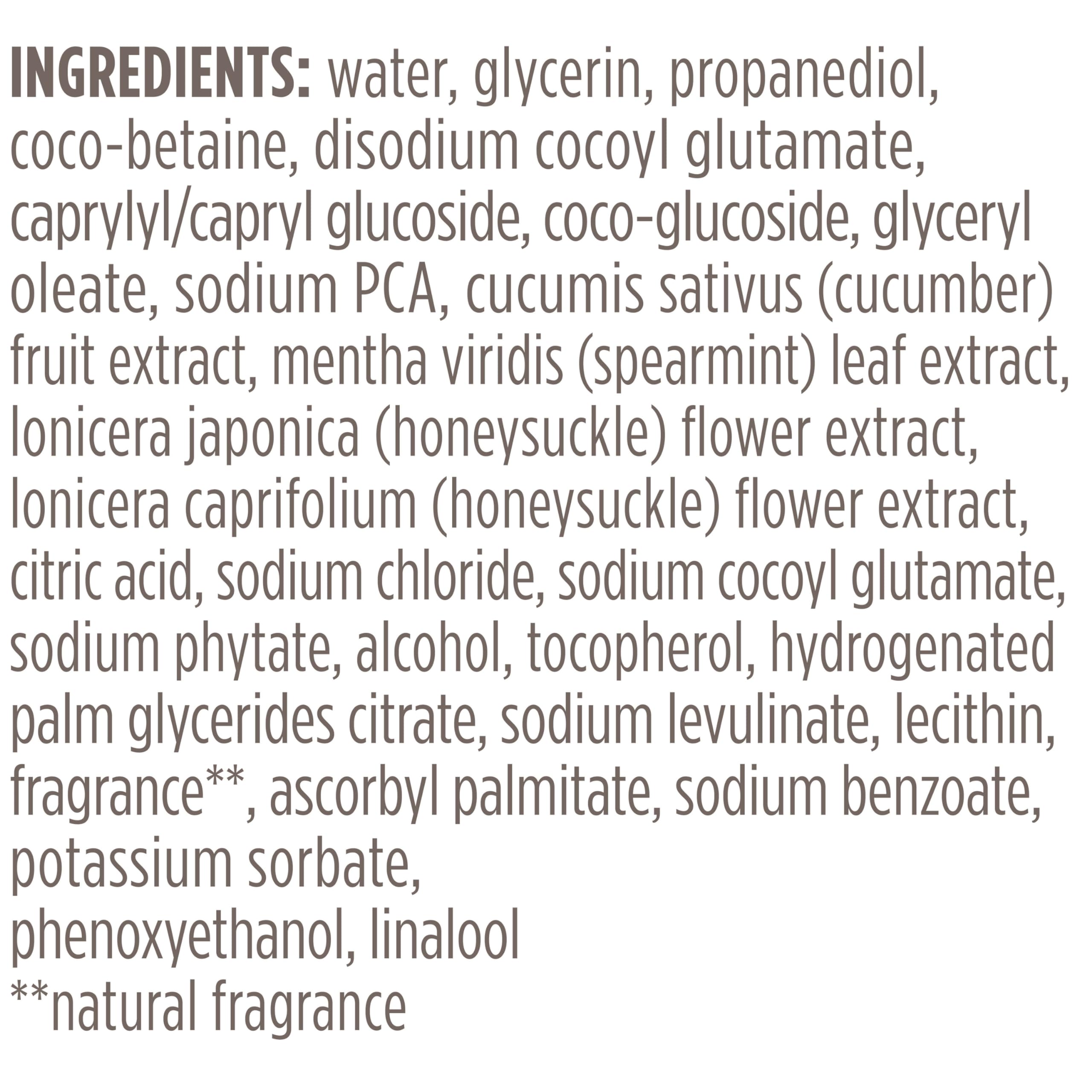 Burt's Bees Refreshing Foaming Face Cleanser and Face Wash with Cucumber and Mint, 4.8 Fluid