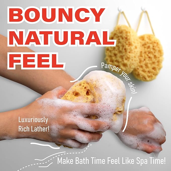 myHomeBody Bath Sponge, Foam Loofah, Shower Sponge for Body, Oval, 2 Pack