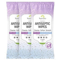 Nurture XL Antibacterial Body & Hand Sanitizing Cloths - 25 Wipes, 3 Pack