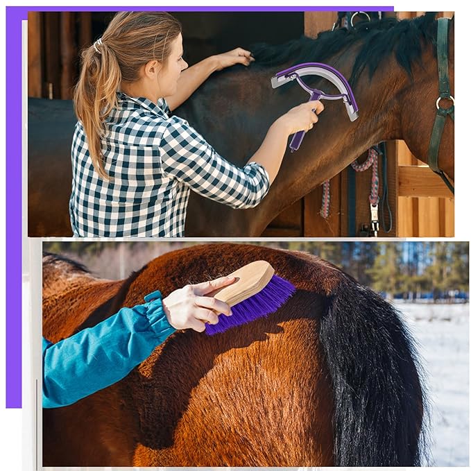 Abbylike 12 Pieces Horse Grooming Kit with Organizer Tote Bag Tack Room Supplies Horse Brush Sets Equine Care Cleaning Kit Shedding Grooming Massaging Tools(Grey and Purple)
