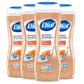 Dial Body Wash, Hydraclean Complex & Vitamin E, Gentle, Leaves Skin Feeling Nourished, Dermatologist-Tested, No Parabens & Sulfates, Pamper & Indulge, Silk & Seaberry, 16 fl Oz (Pack of 4)