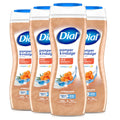 Dial Body Wash, Hydraclean Complex & Vitamin E, Gentle, Leaves Skin Feeling Nourished, Dermatologist-Tested, No Parabens & Sulfates, Pamper & Indulge, Silk & Seaberry, 16 fl Oz (Pack of 4)
