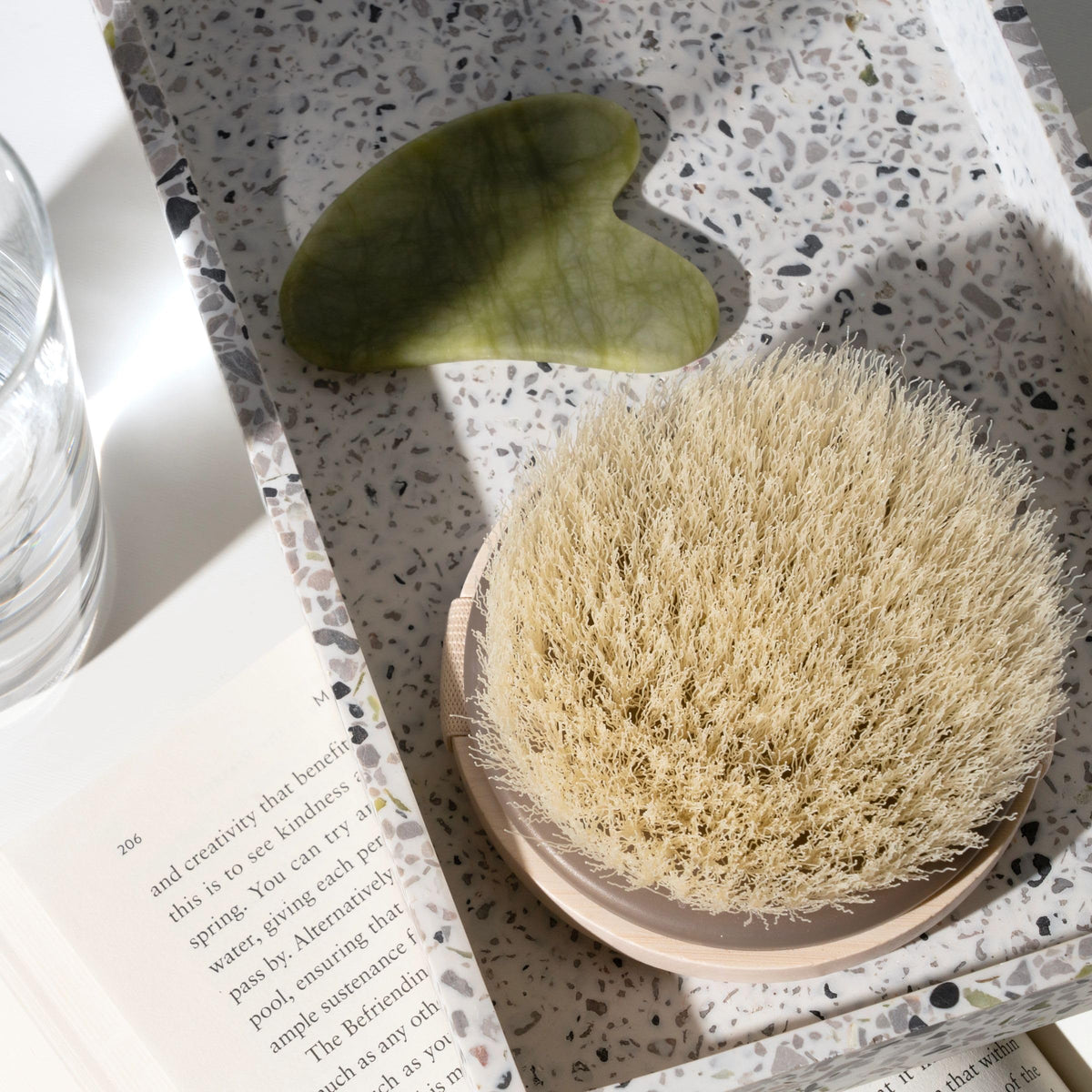 EcoTools Dry Body Brush for Shower Skincare, 1 Count