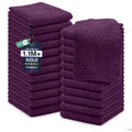 DAN RIVER 24 Pack Cotton Wash Cloths Set for Showering [12x12] Gray