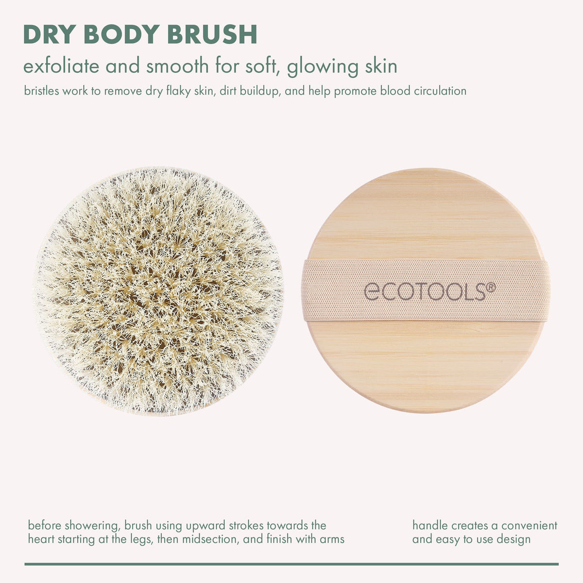 EcoTools Dry Body Brush for Shower Skincare, 1 Count