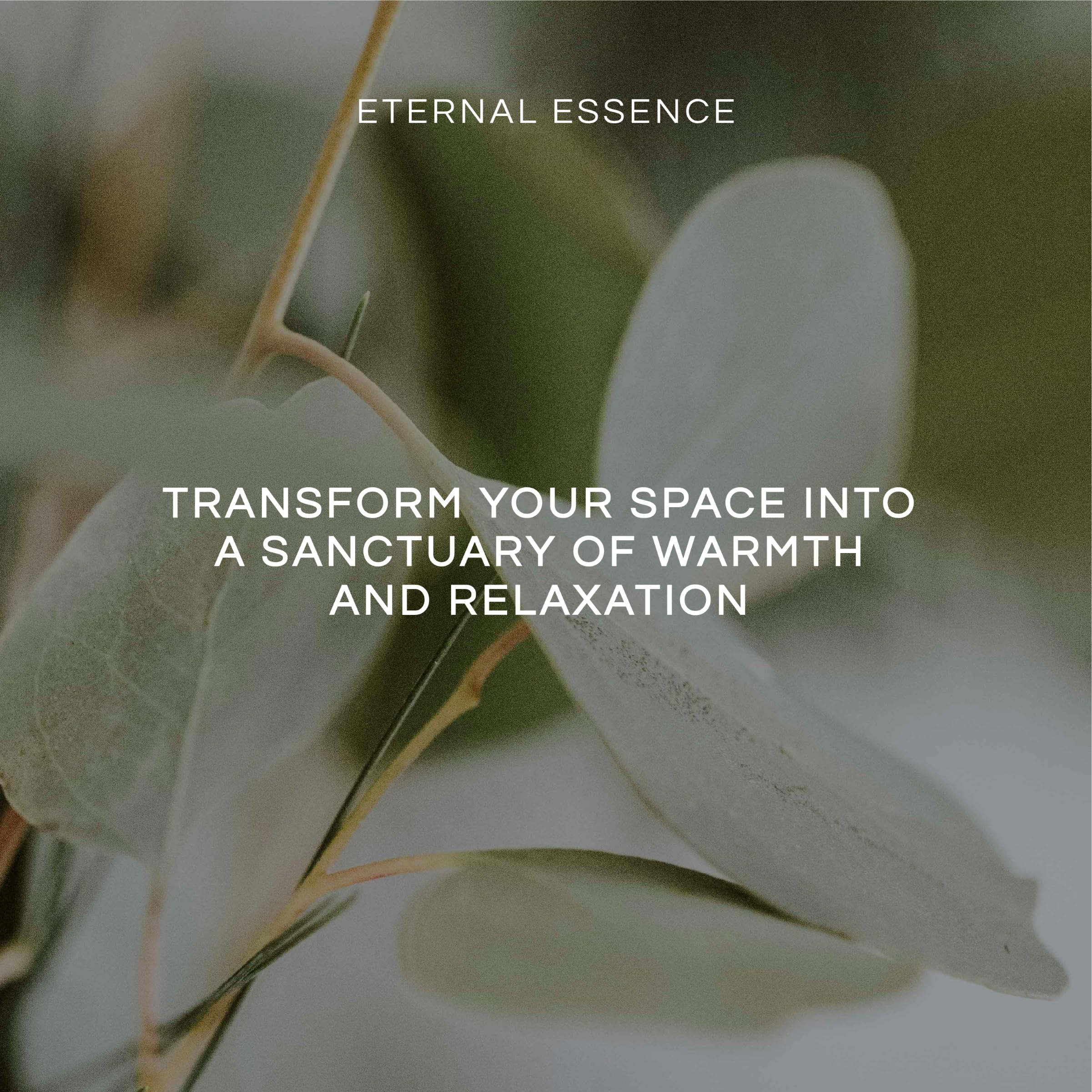 Eternal Essence Oils Far East Set of 6 Premium Fragrance Oils - Includes Water Lily, Bamboo & Teak, Frangipani, Azalea, Ylang Ylang and Dragon's Blood Scented Oils - 10ML