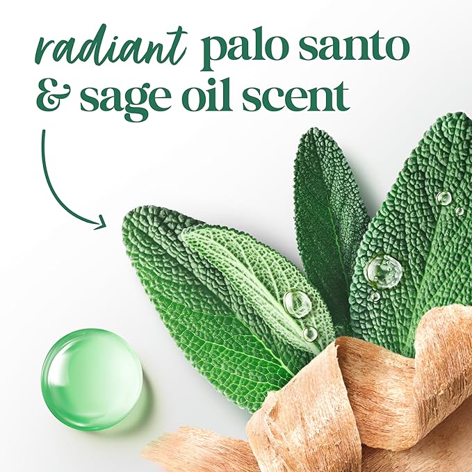 Dove Limited Edition Body Scrub Palo Santo & Sage Oil For Exfoliated & Hydrated skin 15 OZ